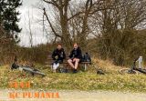 Bild 14 von 29
