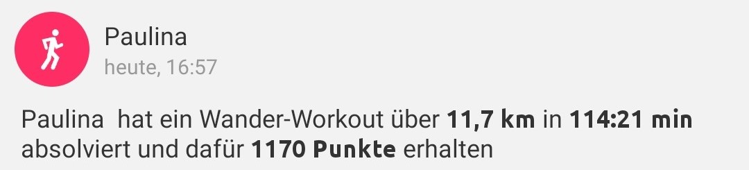 TeamfitTeams/DieSelbstlaeufer/Workout450.jpg